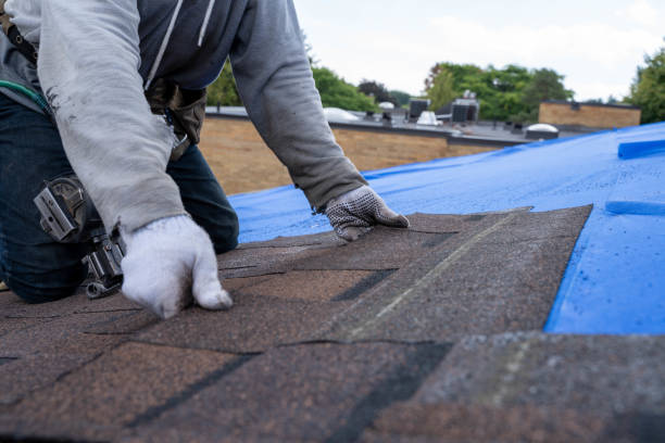 Best Storm Damage Roof Repair  in North Brooksville, FL