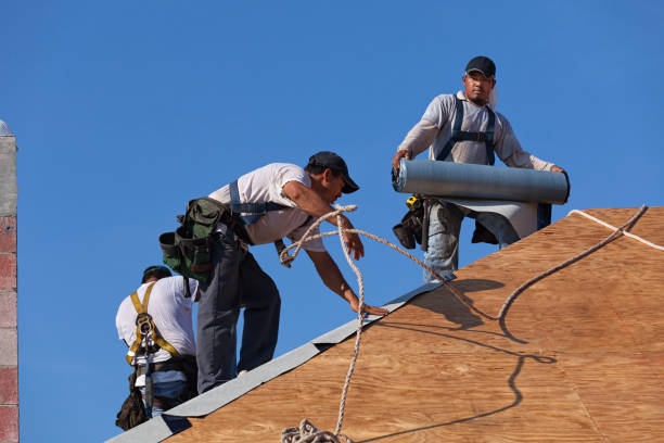 Best Roof Gutter Cleaning  in North Brooksville, FL