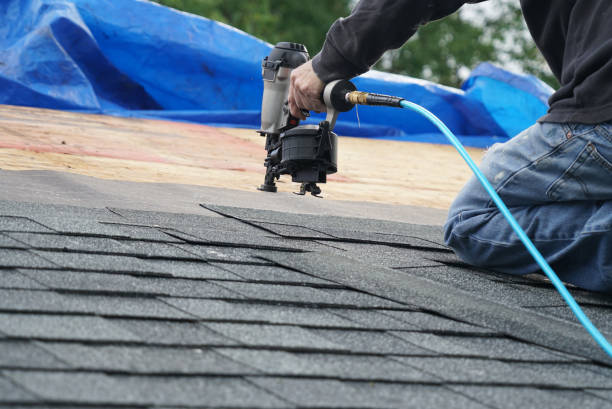 Best Roof Repair Services  in North Brooksville, FL