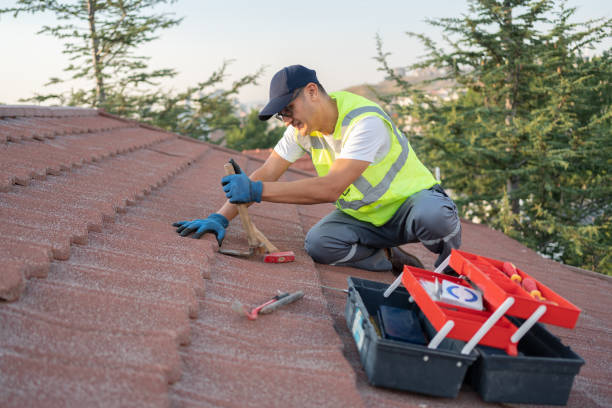 Best Roof Maintenance Services  in North Brooksville, FL