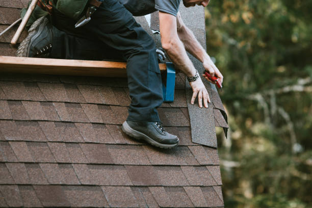 Best Roof Repair Services  in North Brooksville, FL