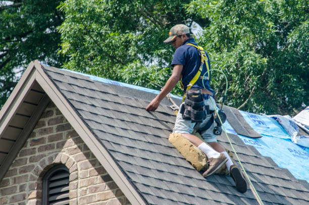 Best Roof Maintenance Services  in North Brooksville, FL